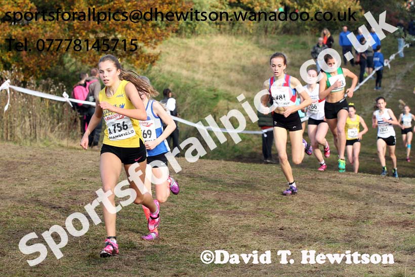 Girls under-15s, National Cross Country Relays, Berry Park, Mansfield. Photo: David T. Hewitson/Sports for All Pics